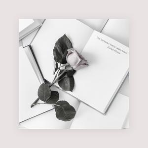 欧美一交一乱一交免费看
