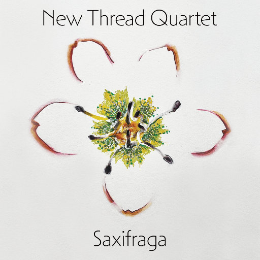 欧美一交一乱一交免费看
